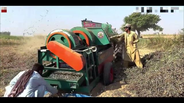 Сбор урожая арахиса. Пакистан смотреть онлайн