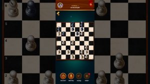 шахматы ♟️