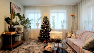 985 Чего вы к детям лезете? Убрали ёлку. Всё закончили.Жизнь станичная.