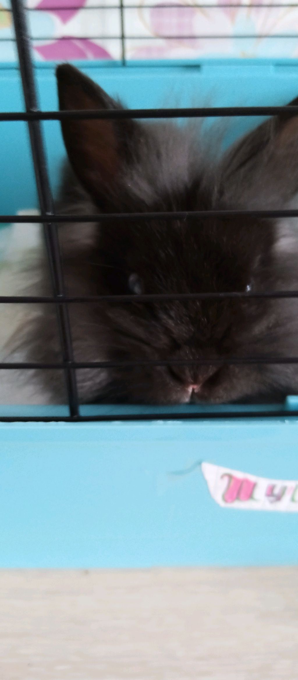 собираем рюкзак ведь в понедельник в школу и начинается 3-я четверть смотреть онлайн