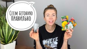 Если не получается вырастить бегонию, попробуйте этот способ посева