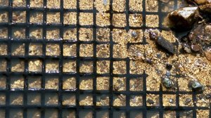 Террасовое Золото!