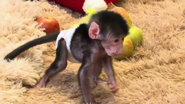 Посмотрите как развивается  Николь-уже играет игрушками и пытается есть яблоки😂 смотреть онлайн