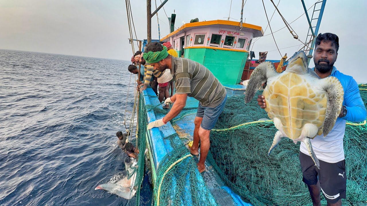 Удивительно / Шестнадцатый день мы провели в глубоком море и поймали много рыбы смотреть онлайн