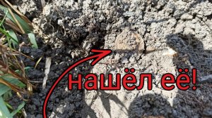 УЕХАЛ НА РАЗВЕДКУ НА ХУТОР! В ПОИСКАХ МОНЕТ ПО ЗАБРОШЕННЫМ МЕСТАМ!!! #ПОИСКМОНЕТ metaldetecting