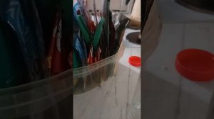 жарю пельмени