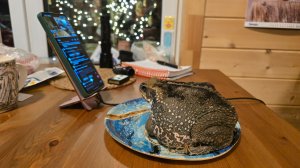 Понесли стрим смотреть снежные завалы на дороге. Запись стрима с ютуба от 9.01.26