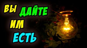 Вы дайте им есть - Василий Савич. Христианские проповеди