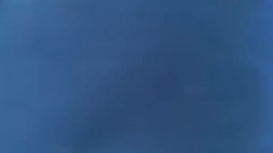 Запуск форели