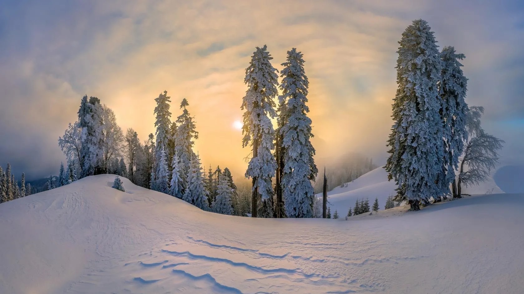 🎼. ♫  .Муслим Магомаев - "Позови меня",муз.Арно Бабаджанян , сл. Роберт Рождественский смотреть онлайн