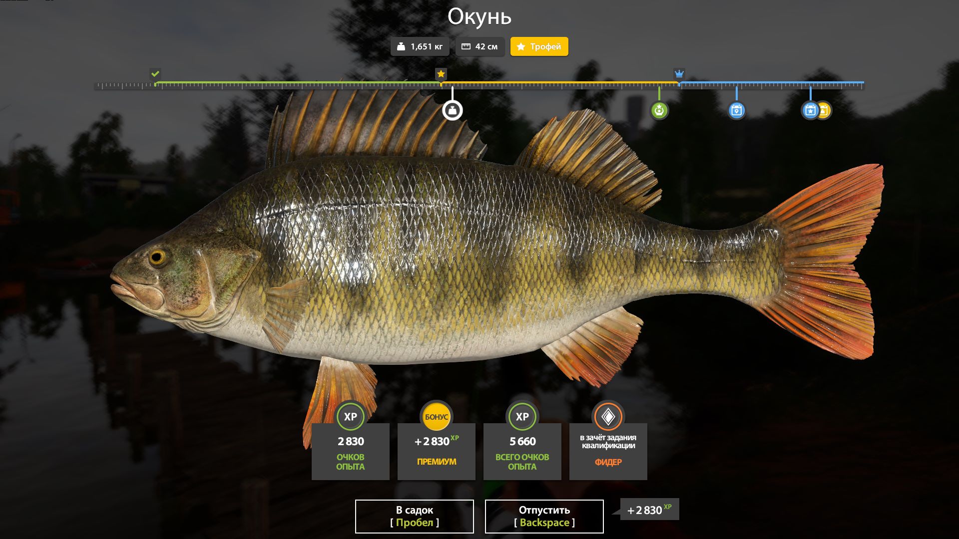 ОКУНЬ ТРОФЕЙНЫЙ!!!КОМАРИНОЕ ОЗЕРО - РУССКАЯ РЫБАЛКА 4 смотреть онлайн