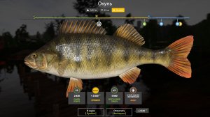 ОКУНЬ ТРОФЕЙНЫЙ!!!КОМАРИНОЕ ОЗЕРО - РУССКАЯ РЫБАЛКА 4