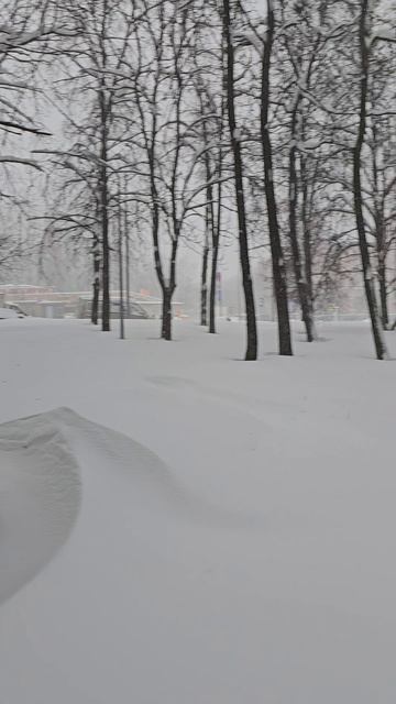 Москва  -10🌡❄️ 😶🌫️ Moscow  -10🌡❄️ 😶🌫️ смотреть онлайн