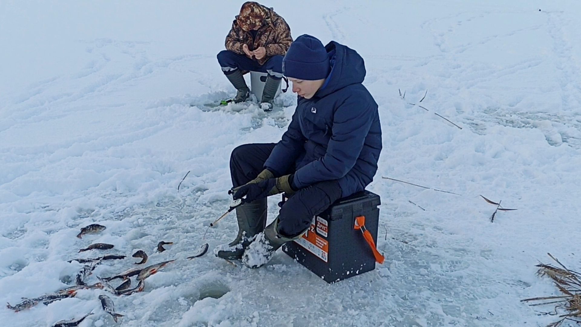 Рыбалка на озере на окуня и плотву смотреть онлайн