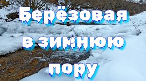 Берёзовая в зимнюю пору 🏞