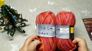 СП  Триостарты 2026_ январь/3 старт. Носочки.