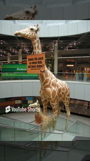 Германия. Дюссельдорф. Экскурсия по городу