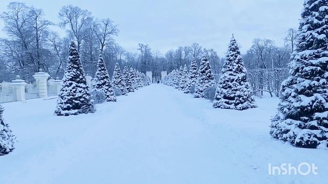 Зимний парк: Ораниенбаум смотреть онлайн