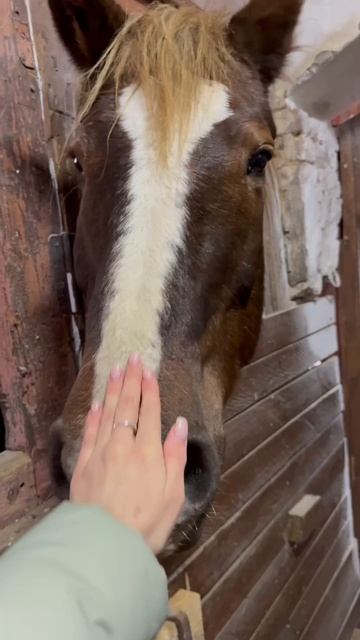 Весёлое приключение студентов КГУ в Медведках! смотреть онлайн