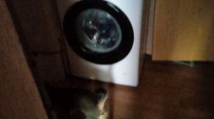 Стиральная машина 04.01.2026 стирка