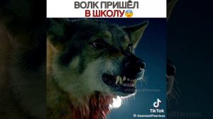 Сериал называется Волчонок 
Очень люблю его 😍