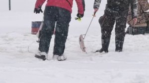 Основной водоём,на ратлин