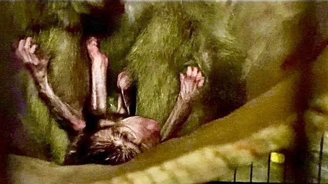 У меня СДАЮТ НЕРВЫ, на дворе почти ночь, но Джульетта наотрез отказывается взять малышку Николь! смотреть онлайн