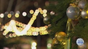 ⛄Новогодняя сказка в Севастополе | Программа "Утро нового дня" (Севастополь, 29 декабря 2025 г.)