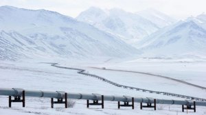 NIS возобновит прерванные из-за США поставки по Адриатическому нефтепроводу