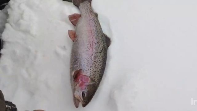 Основной водоём.Поимки смотреть онлайн