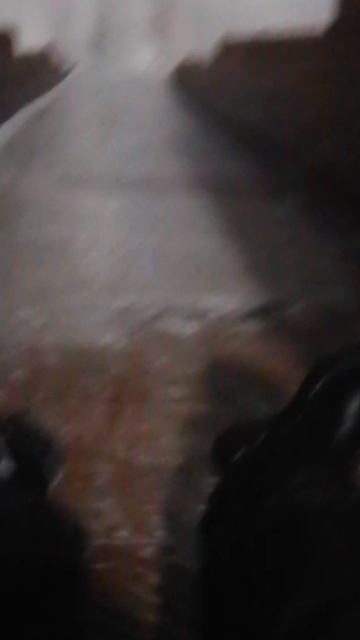 1000006329.mp4 смотреть онлайн