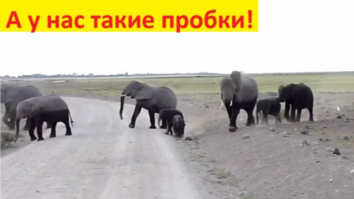 Пробки на дорогах