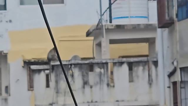 Утро, страшно идти, обезьяны могут отнять еду. Путтапарти. Индия. смотреть онлайн