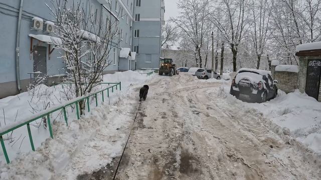 Прогулка после снегопада смотреть онлайн