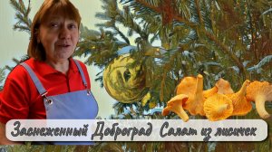 Заснеженный Доброград Салат с лисичками