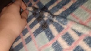 ЧТО БУДЕТ В ПОЛЬЗОВАТЕЛЬСКОЙ НОЧИ В 5 НОЧЕЙ С МАКСИМОМ 2?