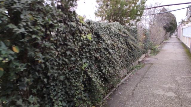 Один из дней города Евпатории | 11 января 2021 г | Крым | ХАН БАТОН XAH 6ATOH / VID_20210111_140253