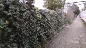 Один из дней города Евпатории | 11 января 2021 г | Крым | ХАН БАТОН XAH 6ATOH / VID_20210111_140253