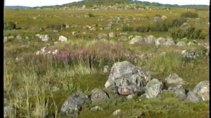 © "В поисках Гипербореи". 2001 г.