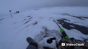 Ловим судака 2026