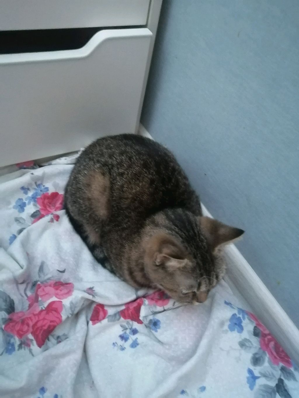 мои рисунки смотреть онлайн