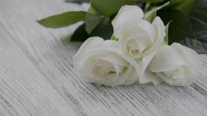 HDR‑аккорды природы