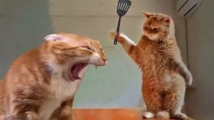 ПРИКОЛЫ С ЖИВОТНЫМИ😺🐶 | СМЕШНЫЕ КОТЫ и СОБАКИ😂