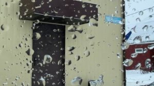 Поездка в Брянске к блогеру  в гостях