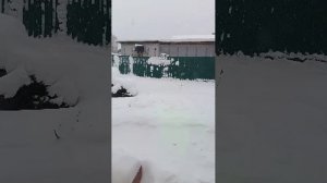 метёт снег. тверская область