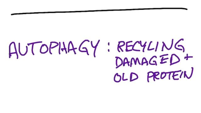 Dr.Berg.Мушки в глазах,причины👀 смотреть онлайн