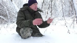 УШЁЛ В ПОИСКИ ГРИБОВ В ЯНВАРЕ! Нашёл два вида съедобных грибов! ИНТЕРЕСНЫЕ НАХОДКИ