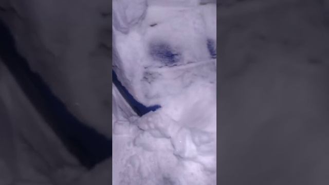 как на дороге ситуация? давайте общаться в чате прямая трансляция смотреть онлайн