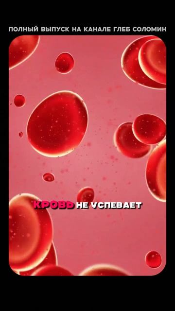 Сущность пороков сердца | Бокерия | Полный выпуск на канале «Глеб Соломин» смотреть онлайн