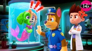 Щенячий патруль и Маршалл. Залипательное видео. Мультфильм для детей и малышей. Анимация 67